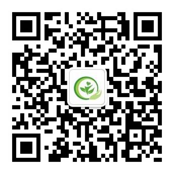 高级工程师